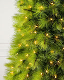 Árvore de Natal Monterey Pine Slim com Galhos Articulados, Suporte Metálico e Micro LEDs Embutidos